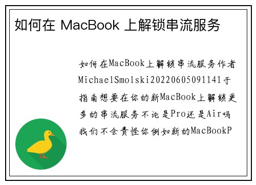 如何在 MacBook 上解锁串流服务